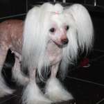 кадникова  Елена, фото