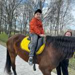 Бакуля, фото