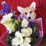 Анна Смирнова, фото