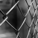 Виктория, фото