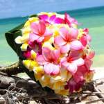 Ирина, фото