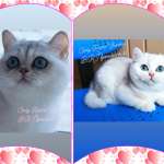 Светлана, фото