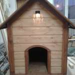 budkarostov, фото