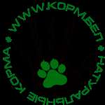 Денис, фото