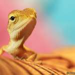 Дмитрий, фото