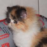 Татьяна, фото