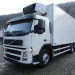 Елена Мамонова, фото