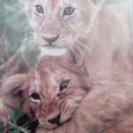 Александр, фото