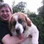 Роман, фото