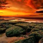 Evgeniy, фото