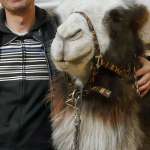 Александр, фото