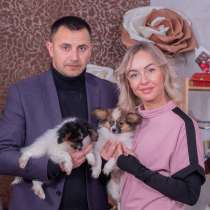 Щенки, в г.Bonnee