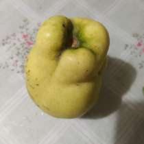 Отдам даром, в г.Мариуполь