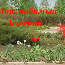 Видеомонтаж, в Липецке