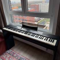 Фортепиано Denn PRO PW01 со стойкой, в Москве