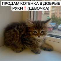 Котенок (девочка), в Саратове