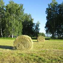 Продам сено в рулонах урожай 2022г, в Можайске