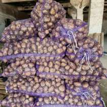 Овощи для магазинов оптом в Алтайском крае, в Барнауле