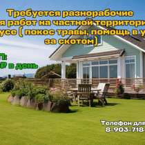 Ищу помощника по хозяйству, в Тарусе