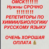 ОМСК СРОЧНО НУЖЕН РЕПЕТИТОР ЧОЮ ПОМОГ НА ДИСТАНЦИОННЫХ, в Омске