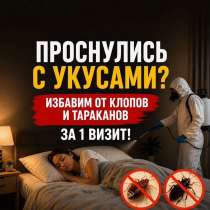 Уничтожение Тараканов Клопов Блох Дезинфекция, в Москве