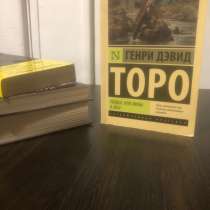 Генри Дэвид, в Екатеринбурге