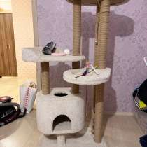 Кошачий уголок для игр, в Краснодаре