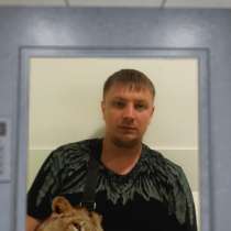 Vova, 33 года, хочет познакомиться, в г.Altengottern