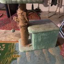 котором, в Курске