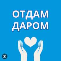 Отдам даром вещи, в Ленске