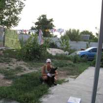 Дрессировка собак, в г.Днепропетровск