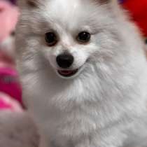 Вязка, в г.Беэр-Шева