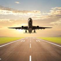 Сервис в аэропорту Толмачево (Новосибирск) при импорте, в Новосибирске