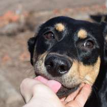 Яночка очень хочет домой, в Мытищи