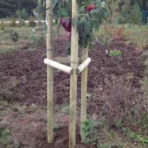 Колья окоренные, в Екатеринбурге