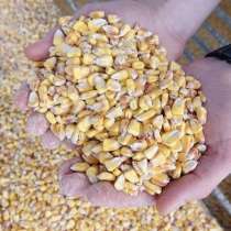 Кукуруза зерно оптовые поставки, в Санкт-Петербурге