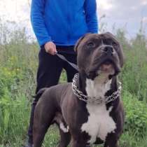 Ярослав, 21 год, хочет пообщаться, в г.Кировоград