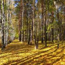 Сдаю 2-х кв. МО, г. Королев, мкр. Болшево, в Королёве