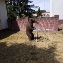 Требуется прораба НВК+теплосети, в г.Минск