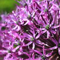 Биология и Химия - в Зеленограде или поTeams, в Зеленограде