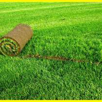 Газон рулонный на складе в воронеже, в Липецке