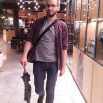 Каспар, 26 лет, хочет пообщаться, в г.Лондон