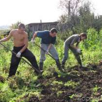 Уборка дачного участка, вывоз мусора, переезды, в Омске