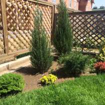 Ландшафтный дизайн, озеленение,благоустройство,уход за садом, в г.Минск