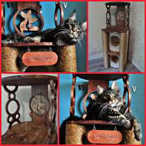 Изготовление комплексов и домиков для кошек на заказ, в Ростове-на-Дону