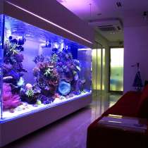 Обслуживание аквариумов, в г.Донецк
