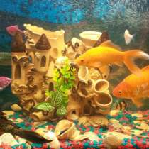 Продам Аквариум 2 шт. 100 литров. 6 месяцев. Продам СРОЧНО, в Москве