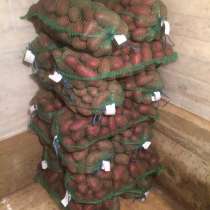 Картофель отборный деревенский, в Лобне