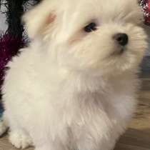 Мальтезе. Мини, в г.Morsleben