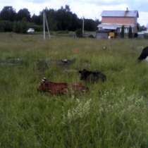 Участок в шаговой доступности от электрички, 5 минут, в Сергиевом Посаде